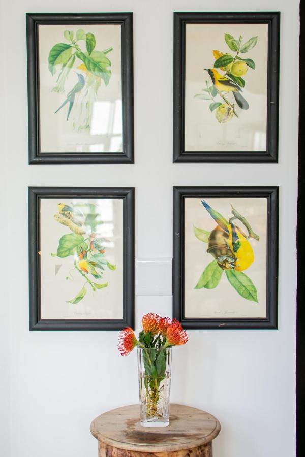 Vida Nova Retreat Hotel Hout Bay Luaran gambar